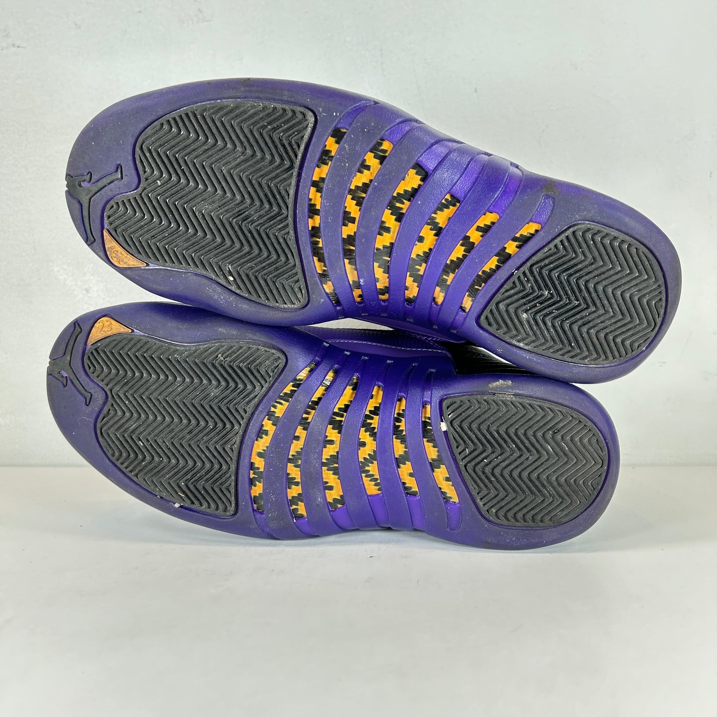 CT8013 057 Jordan 12 Retro Field Purple [USED] - 8.5 M (Used)