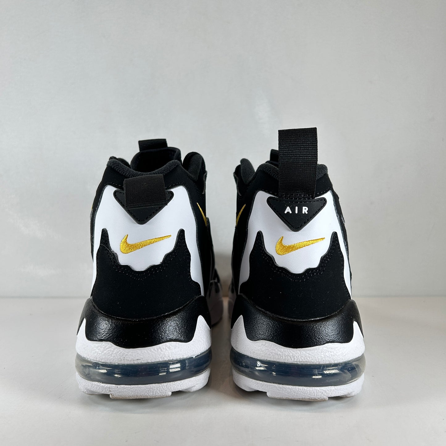 HM8249 001 Nike Air DT Max '96 Black White (2024) - 11 M (Used)