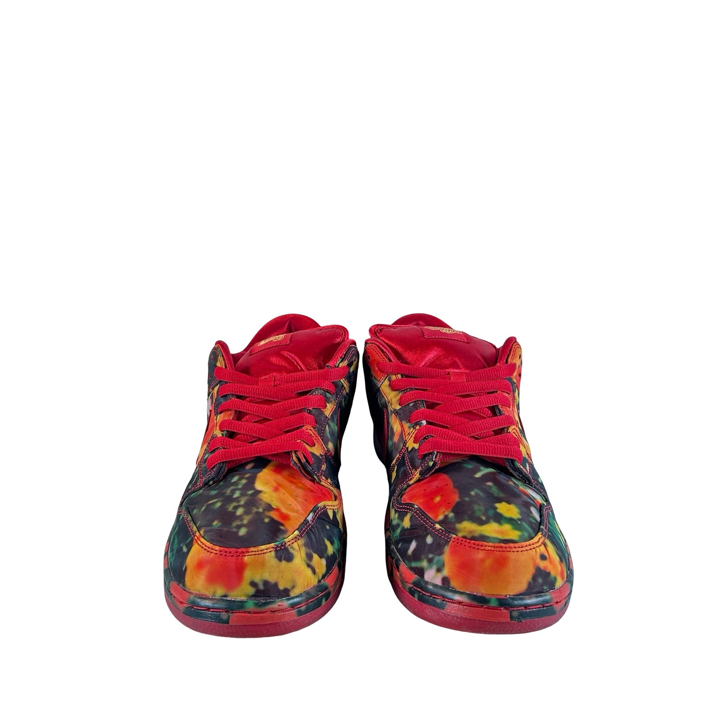 FZ1291 600 Nike SB Dunk Low The Wizard of Oz Poppy Field [USED] - 14 M (Used)