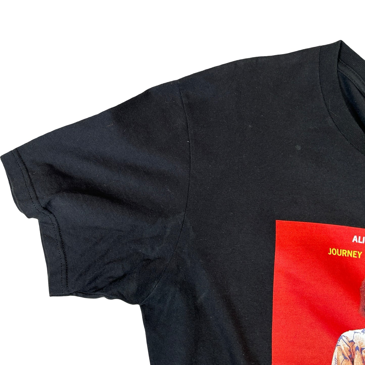 Supreme Satchidananda Tee Black [USED] - L (Used2)