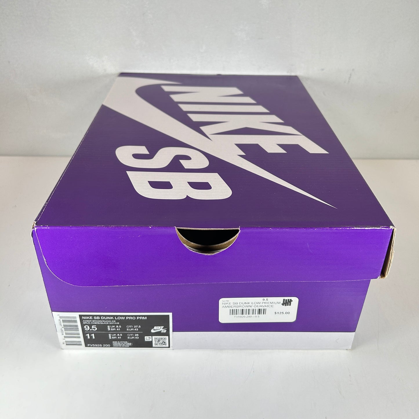 FV5926 200 Nike SB Dunk Low Trocadéro Gardens [USED] - 9.5 M (Used)