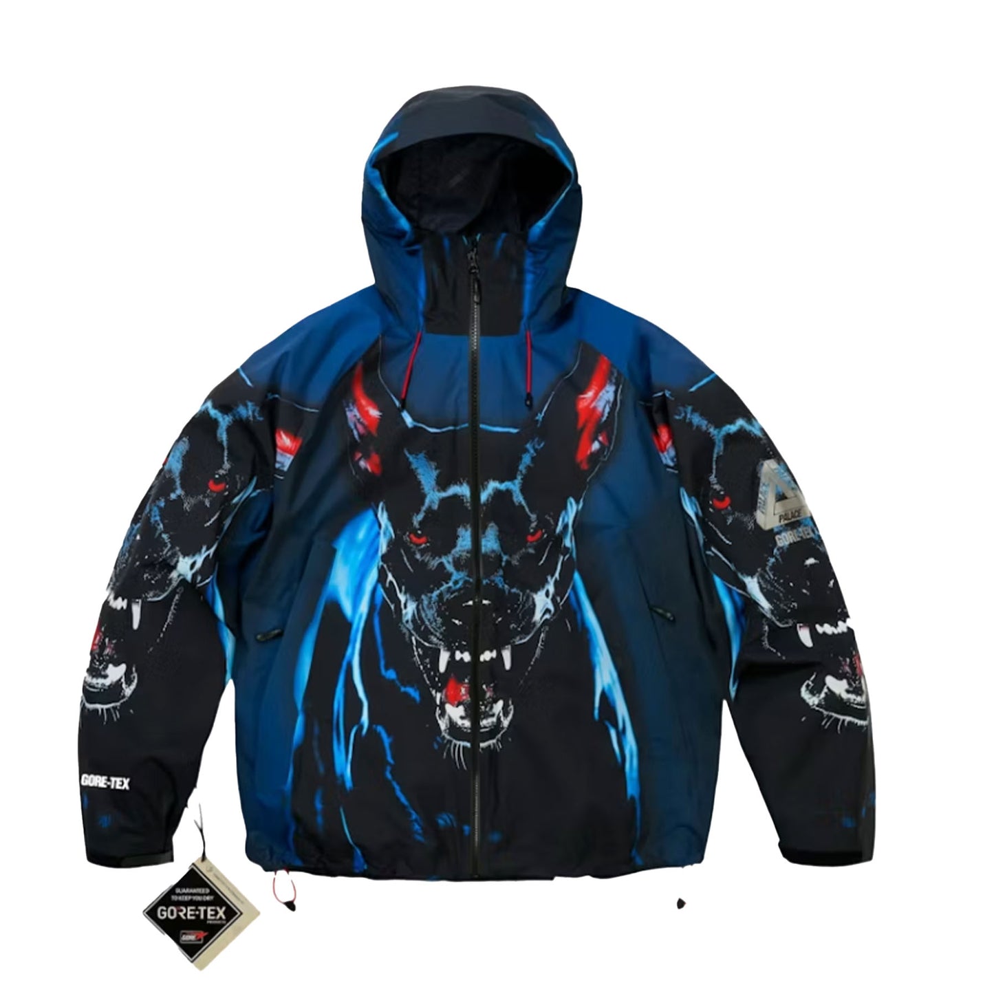 Palace GORE-TEX 2L P-TEK Jacket K-Nein Print
