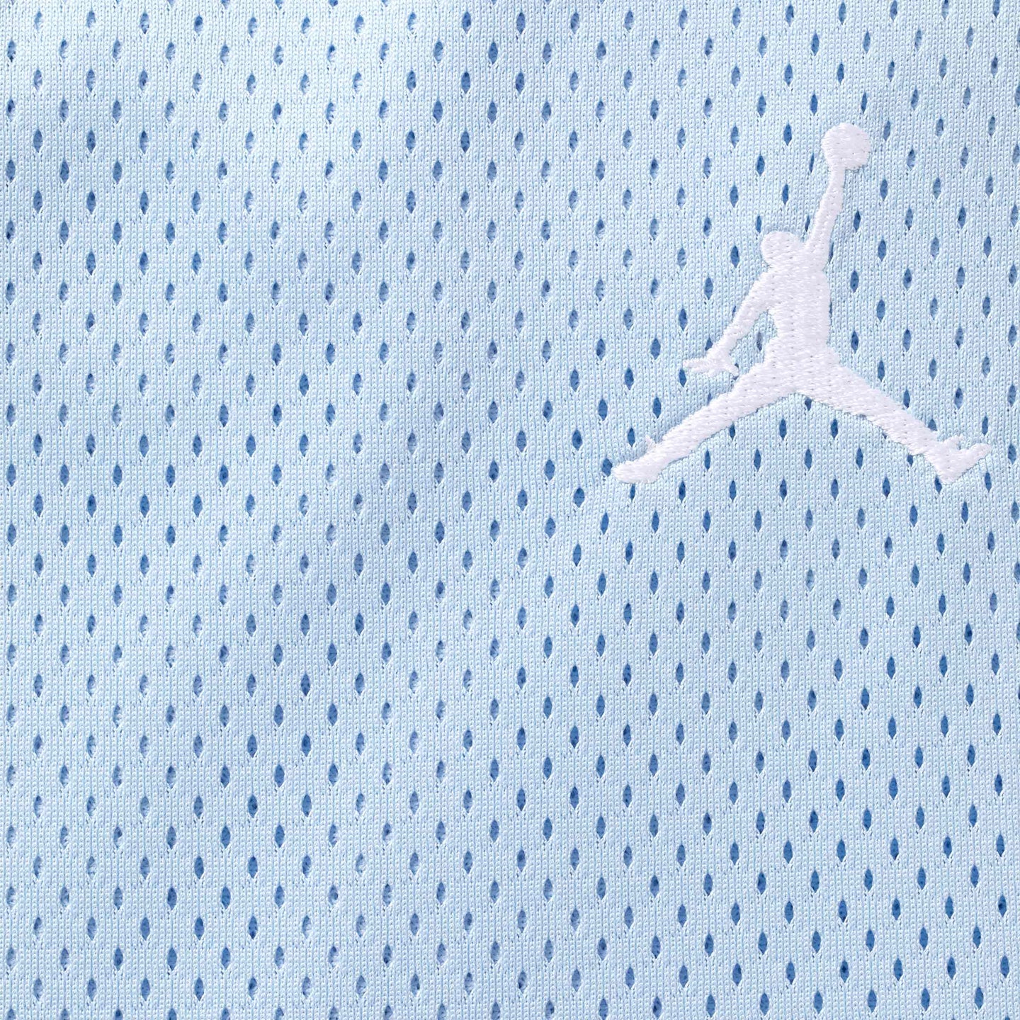 Supreme Jordan Short (SS26) Light Blue