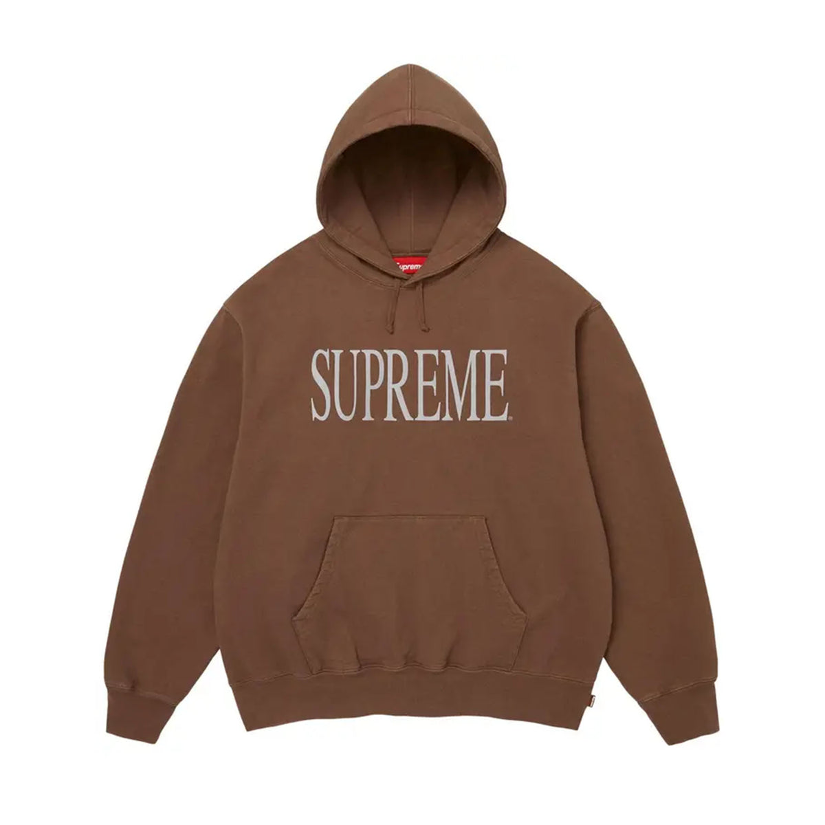 Supreme Capital Hooded Sweatshirt (FW26) Brown