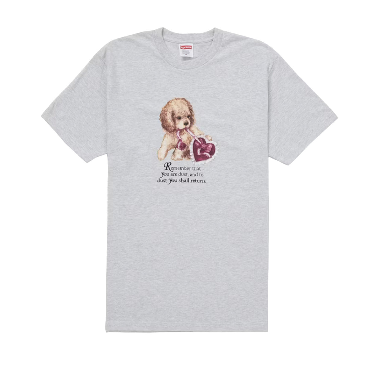 Supreme Dust Tee Ash Grey