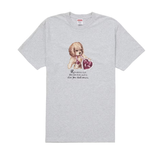 Supreme Dust Tee Ash Grey