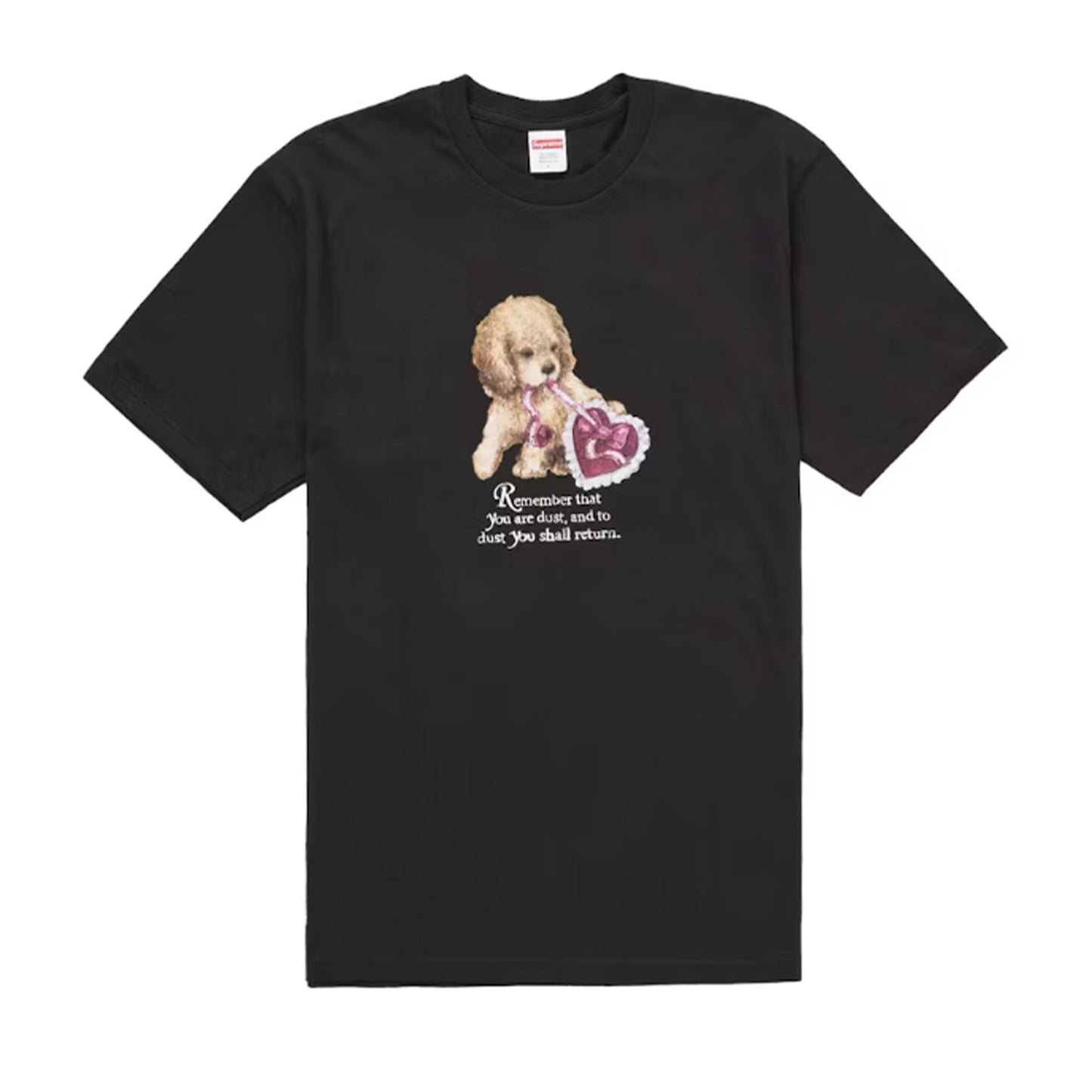 Supreme Dust Tee Black