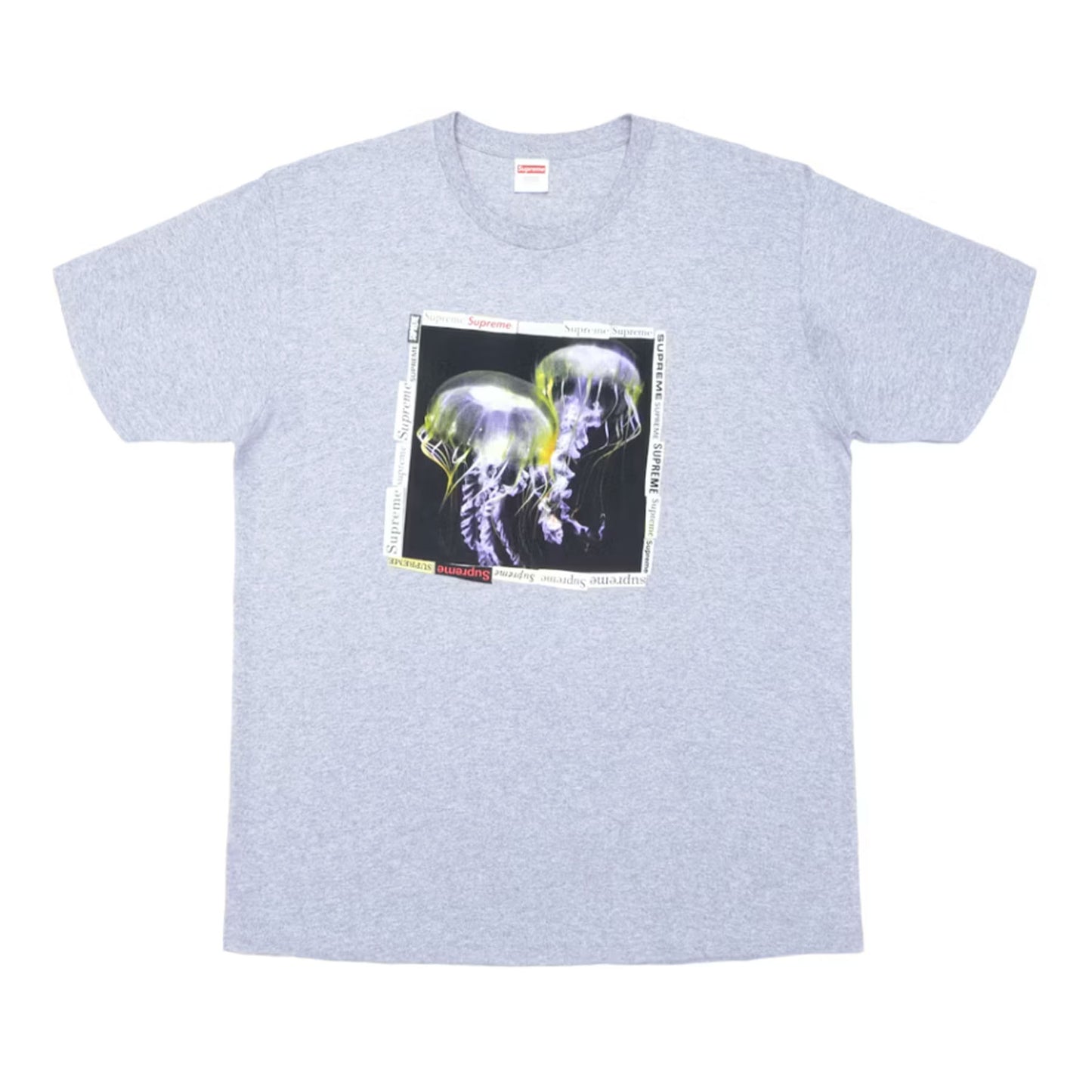 Supreme Jellyfish TeeHeather Grey [USED] - XL (Used)