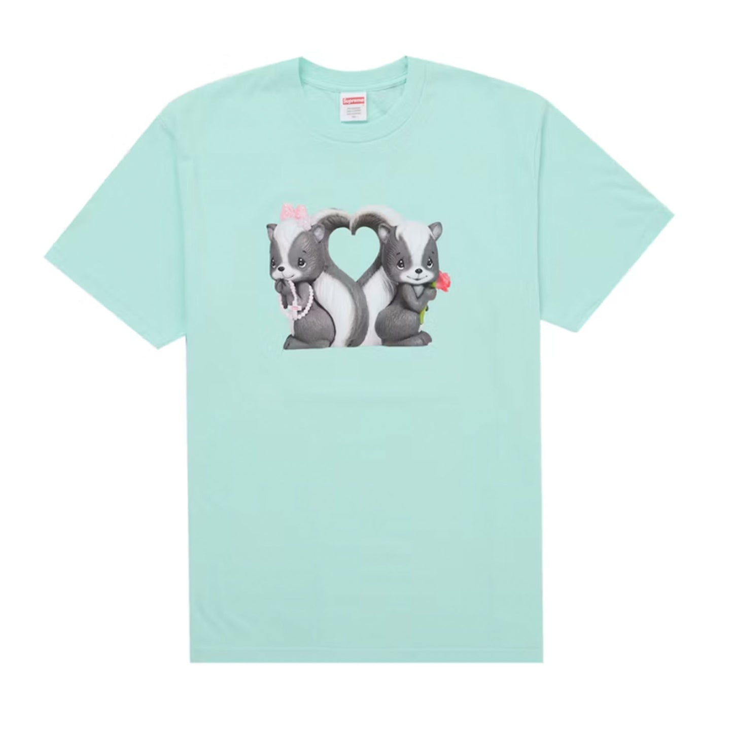 Supreme Skunk Tee Mint