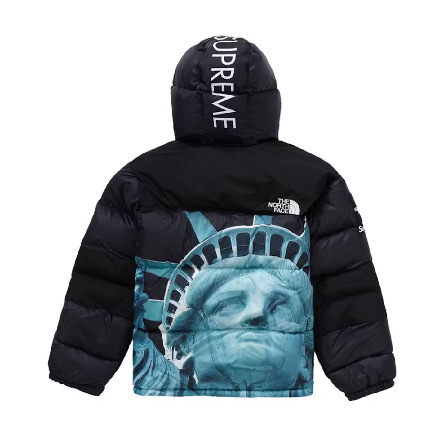 Supreme The North Face Statue of Liberty Baltoro Jacket Black [USED] - M (Used2)