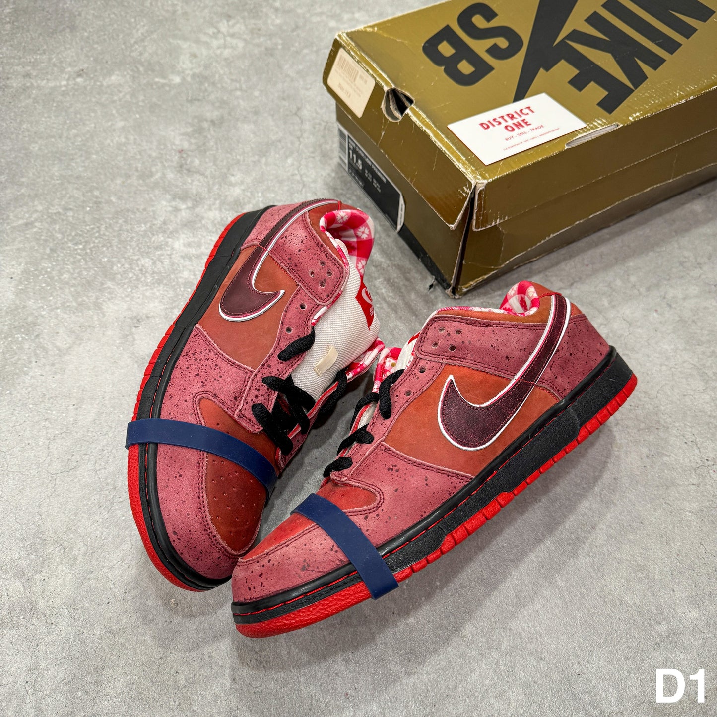 313170 661 Nike SB Dunk Low Concepts Red Lobster