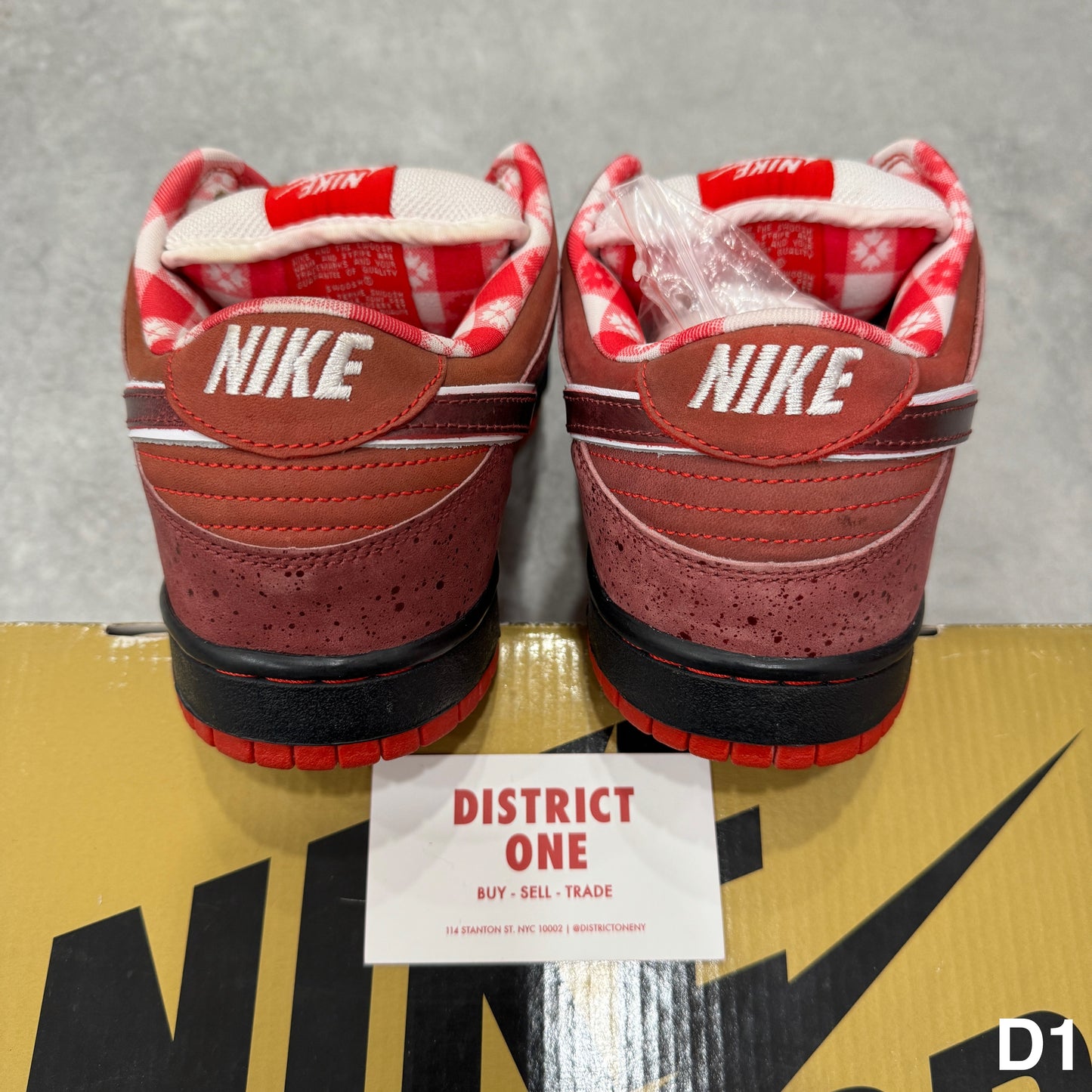 313170 661 Nike SB Dunk Low Concepts Red Lobster