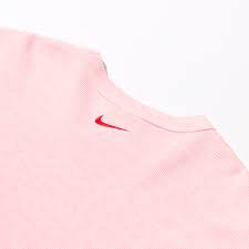 Awake x Jordan 5 Borough Thermal Pink