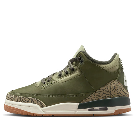 DM0967 202 Jordan 3 Retro Family Affair (GS) (NO BOX]
