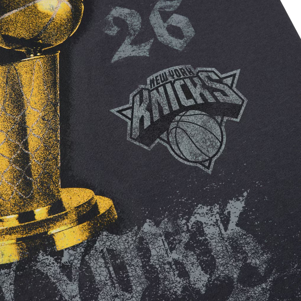 New York Knicks Nike 2026 NBA Finals Champions Authentic Locker Room Limited Edition On Court T-Shirt Gray