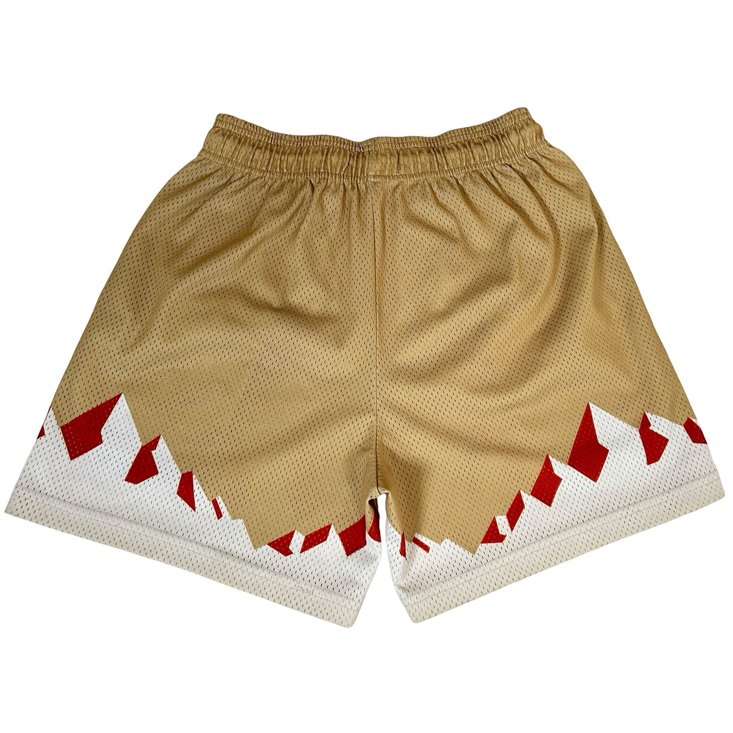 Eric Emanuel EE Mountains Logo Shorts [USED] - M (Used)