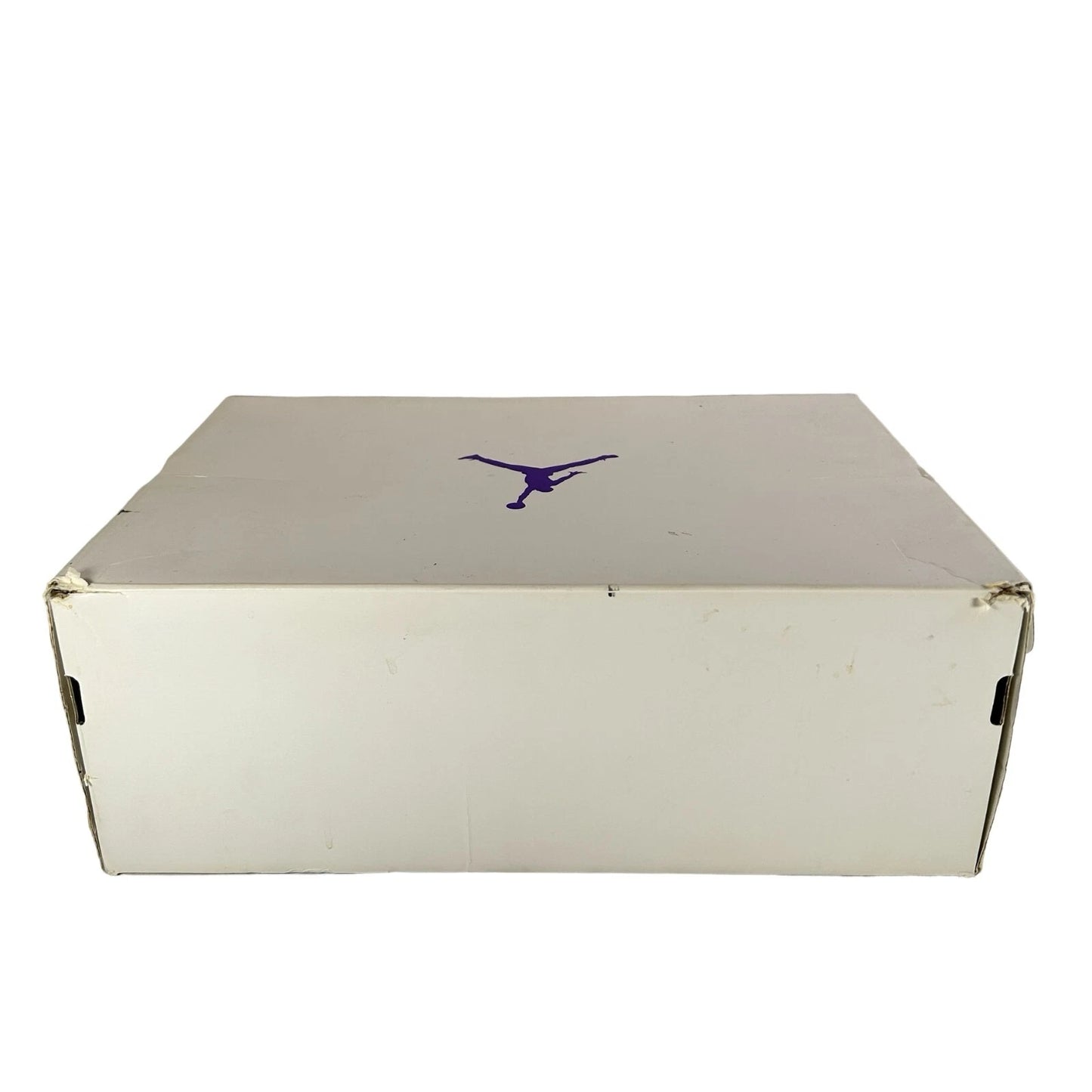 CT8527 115 Jordan 4 Retro Metallic Purple [USED] - 8.5 M (Used)